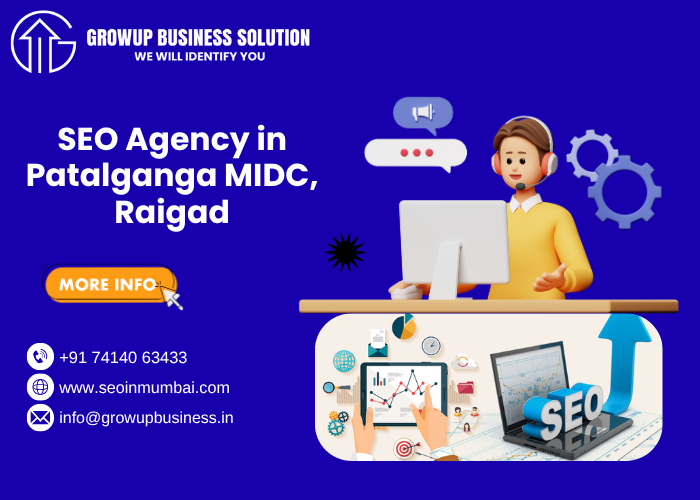 SEO Agency in Patalganga MIDC, Raigad